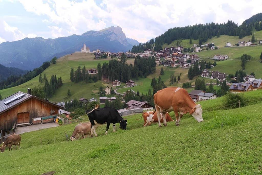 App. Monte Pore - Agriturismo La Majon Колле-Санта-Лучія Екстер'єр фото
